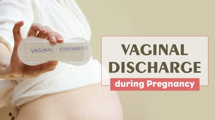 Vaginal Discharge in Pregnancy