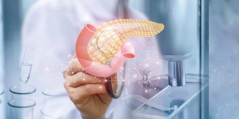 Ayurvedic Treatment for Pancreatitis: Heal Naturally