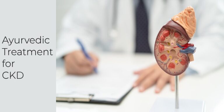 Ayurvedic Treatment for CKD: Enhancing Kidney Function