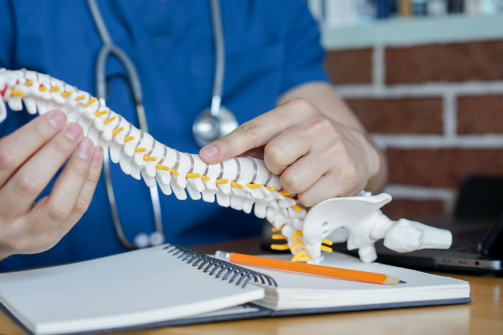 Freedom from Back Pain: Ayurhealing’s Natural Approach to Spinal Wellness