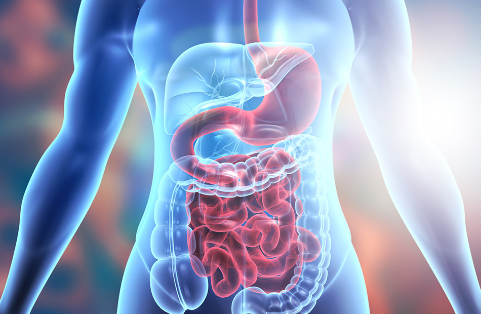 ayurvedic-treatment-for-hut-health-care