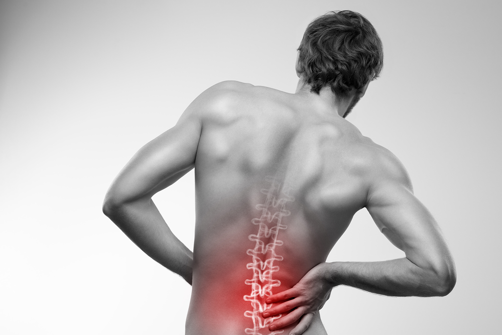Holistic Back Pain Management with Ayurveda & Siddha Medicine