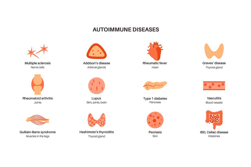 Ayurvedic Treatment for Autoimmune Diseases in Bangalore: Healing Naturally with Ayurveda & Siddha Medicine