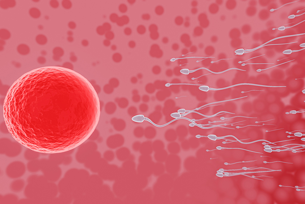 Best Ayurvedic Treatment for Infertility in Bangalore – Ayurhealing’s Holistic Approach to Natural Conception