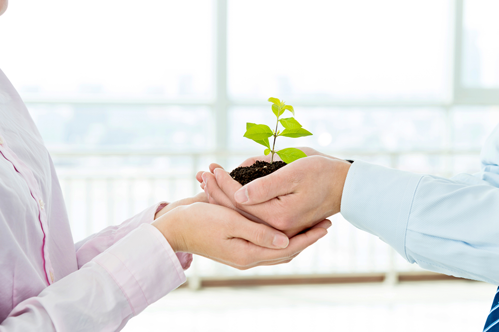 Why Ayurhealing Is the Best Ayurvedic Clinic in Bangalore for Holistic Treatment