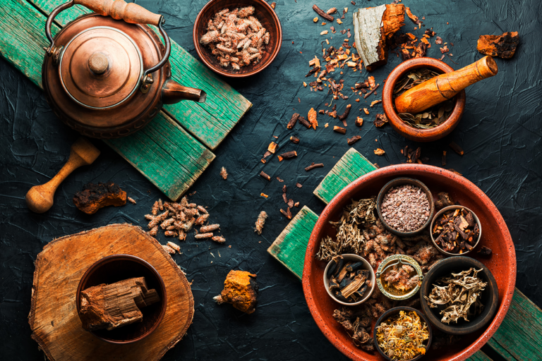 Natural Healing in Bangalore: Ayurvedic Medicine, Siddha, and Herbal Remedies