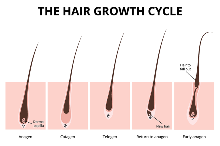 Ayurvedic Remedies for Hair Regrowth: Natural Solutions for Stronger, Healthier Hair